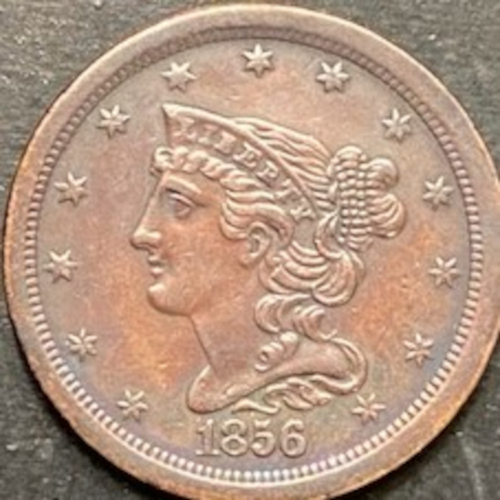 1856-Braided-Hair-Half-Cent-Please-Help-Grade/Opinion